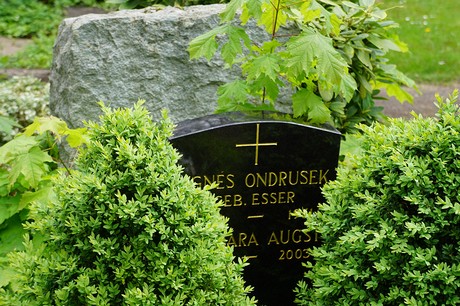 Bad Godesberg
